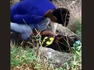 A GF's journey thru the jungle with her chudayi