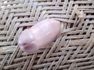 Desi girl's jokey solo onanism session